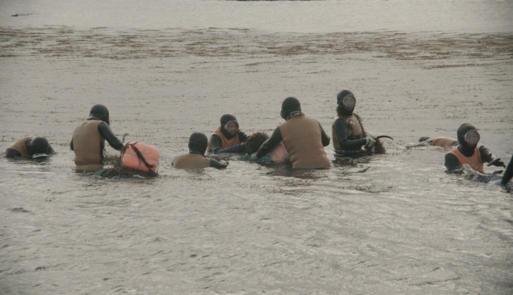 Haenyeo Documentary Scene 2