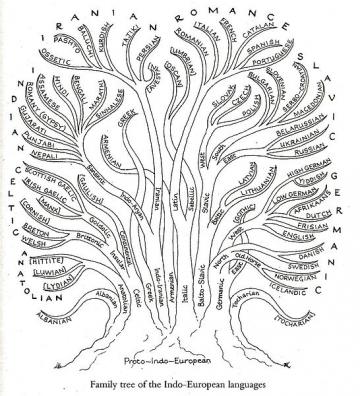 Family tree of the indo-european languages. Credit: Wikimedia Commons