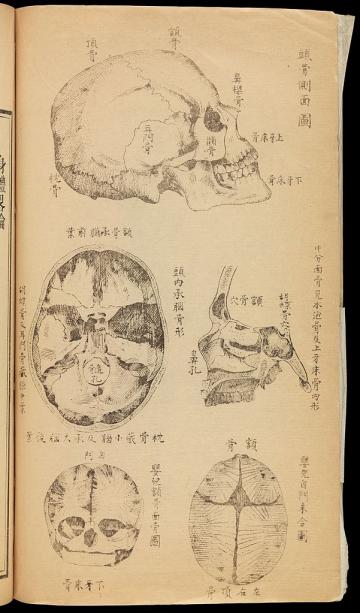 L0067188 Wellcome Chinese Collection 23B Credit: Wellcome Library, London. Wellcome Images 